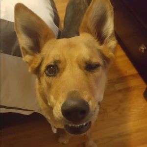 Meet your Posher, Kara